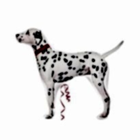 101 Dalmatians SuperShape Folyo Balon